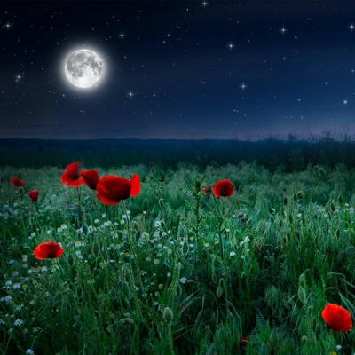 Full Flower Moon Guided Meditation