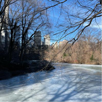 Aprendendo a não amar