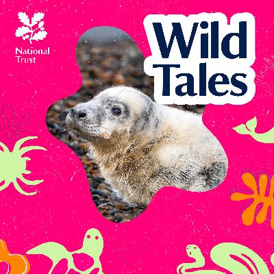 The Island of Secret Seals