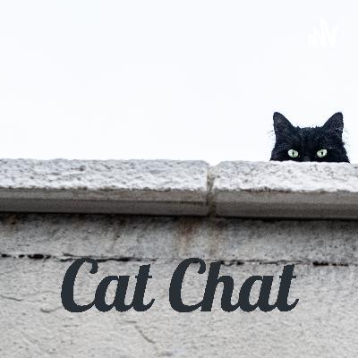 Cat Chat (Trailer)