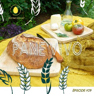 #29 Pane Vivo