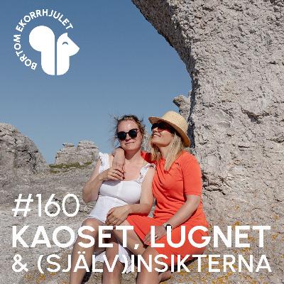 160. Kaoset, lugnet och (själv)insikterna