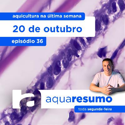 aquaresumo 36