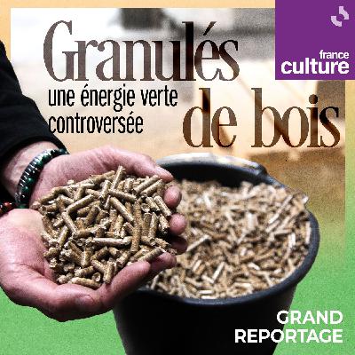 Granulés de bois : une énergie verte controversée 1/5 : Un combustible d’avenir ?