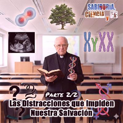 Las distracciones que impiden nuestra salvación (Parte 2/2) - Sabiduría, Ciencia y Fe Las distracciones que impiden nuestra salvación (Parte 2/2) - Sabiduría, Ciencia y Fe