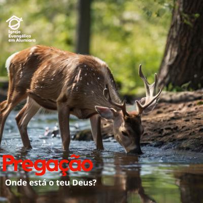 Onde está o teu Deus?