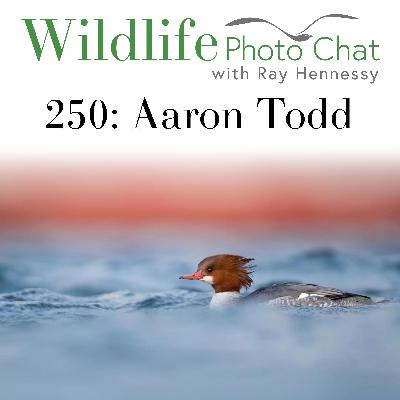 250: Aaron Todd
