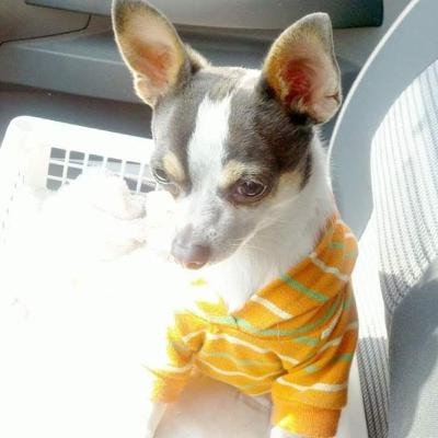 La enfermedad se presenta para mostrarte tus heridas La enfermedad se presenta para mostrarte tus heridas