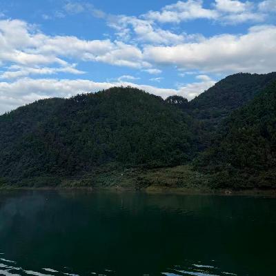 EP90. 你好,陌生人:那些被陌生人的善意治愈的时刻 EP90. 你好,陌生人:那些被陌生人的善意治愈的时刻