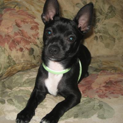 Christmas Caroling Fifth Graders