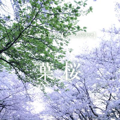 ボイスドラマ「葉桜」