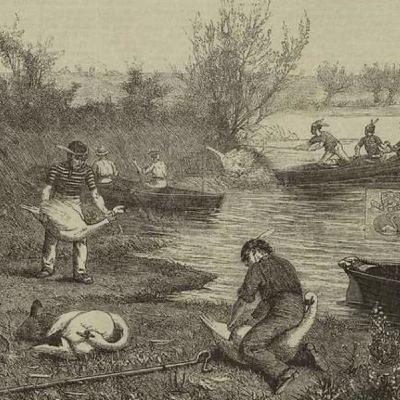 KING CHARLES REPORT: SWAN UPPING. GREGORY COPLEY, DEFENSE & FOREIGN AFFAIRS