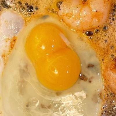 Can A Chicken Have Twins 🪺 Can A Chicken Have Twins 🪺