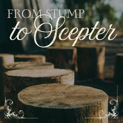 From Stump to Scepter - November 30, 2025 From Stump to Scepter - November 30, 2025