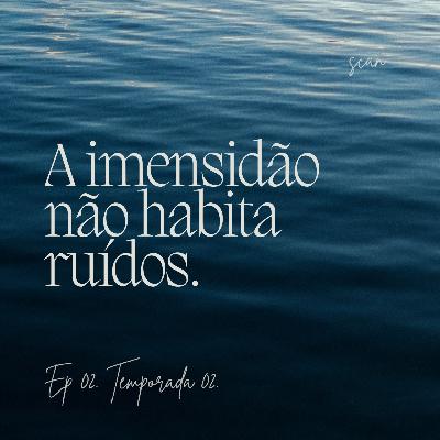 23. A imensidão não habita ruídos