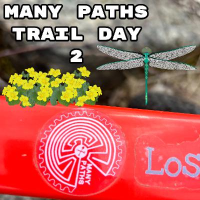 Many Paths Build Day 2 Many Paths Build Day 2