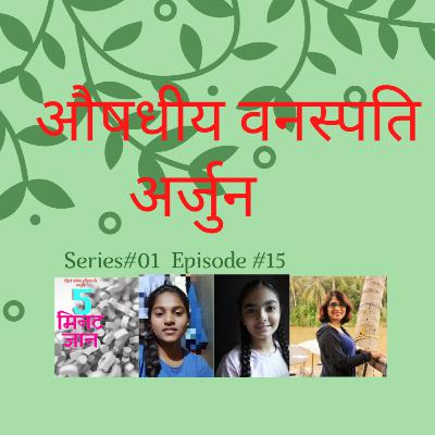 औषधीय वनस्पति : अर्जुन (Medicinal Plants : (Terminalia arjuna)