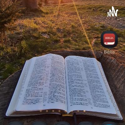 Księga Liczb 4 Księga Liczb 4