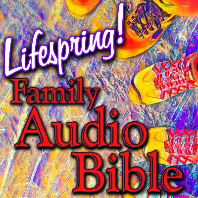 The Paradox of the Human Condition The Paradox of the Human Condition