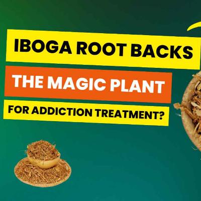 This Plant Is Making People Go Crazy! Iboga