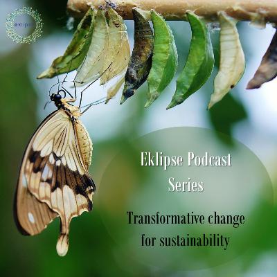 Transformative change for sustainability