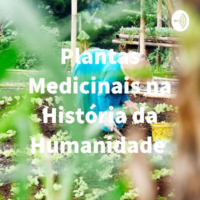 Plantas Medicinais na História da Humanidade