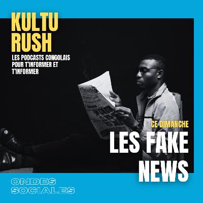 Les fakes news - Analyse et perspectives de lutte Les fakes news - Analyse et perspectives de lutte
