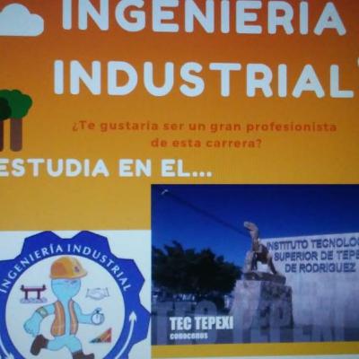 Ingeniería industrial