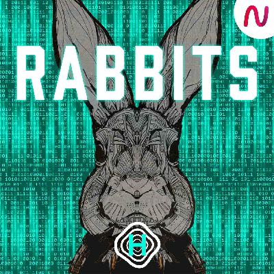INTRODUCING: Rabbits