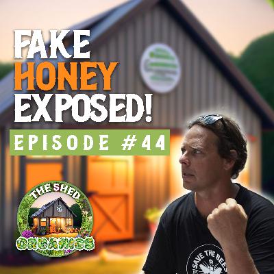 #44 - Big Honey, Big Issues | Simon Mulvany [SaveTheBeesAustralia]