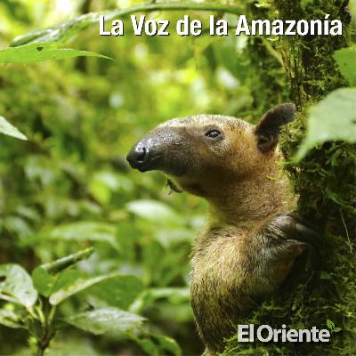 Episodio 3 – Salud