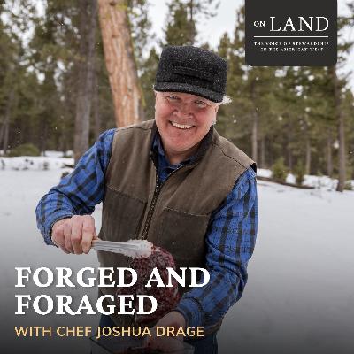 Forged and foraged with Chef Joshua Drage
