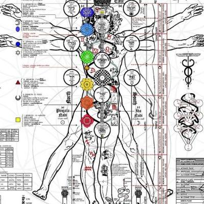 ANATOMÍA ENERGÉTICA DEL CUERPO HUMANO