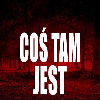 Lasy, które budzą grozę #96