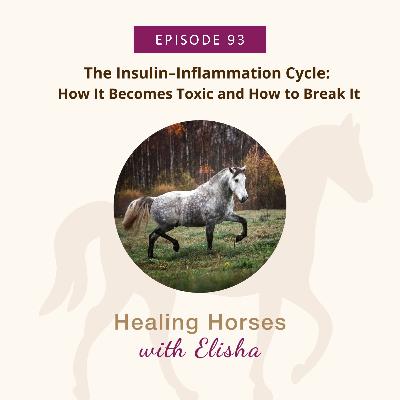 93: The Insulin–Inflammation Cycle: How It Becomes Toxic and How to Break It