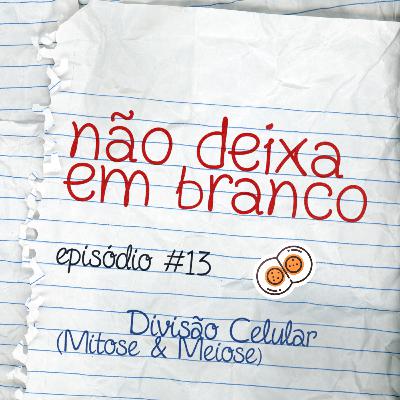 Aula #13 - Divisão Celular (Mitose & Meiose) Aula #13 - Divisão Celular (Mitose & Meiose)