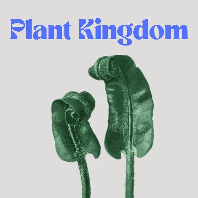 15 Barrett Klein: Insect Epiphany