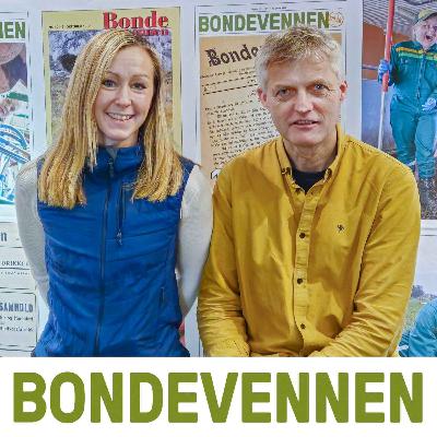 Høyr på høy!