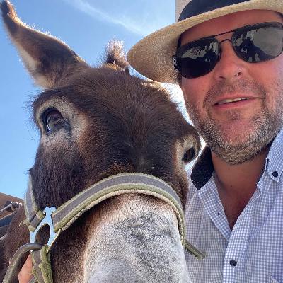 Donkey Cruise auf Rhodos Donkey Cruise auf Rhodos