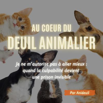 Épisode #18: Je ne m’autorise pas à aller mieux : quand la culpabilité devient une prison invisible
