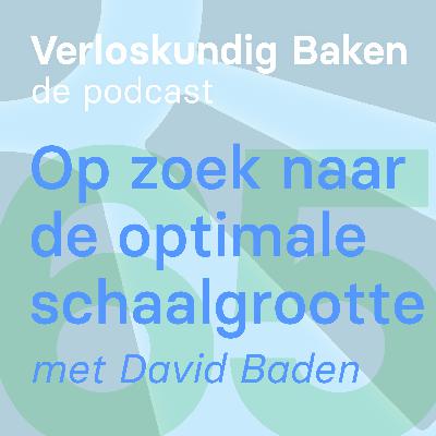 65: Op zoek naar de optimale schaalgrootte met David Baden