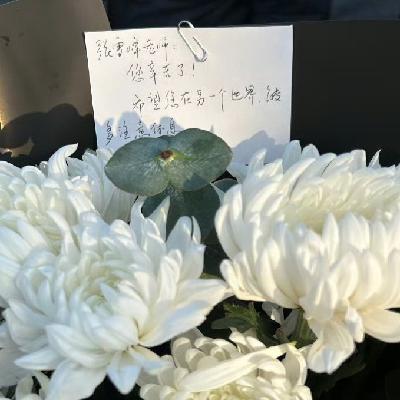 No.55 人生很好,下次还来——纪念张雪峰老师 No.55 人生很好,下次还来——纪念张雪峰老师