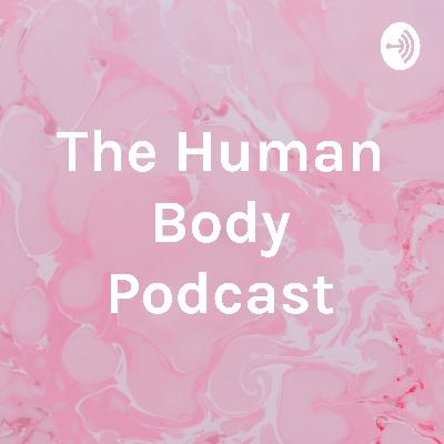 The Human Body