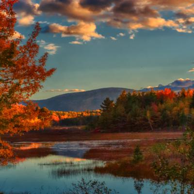 Dopoludnie na Infovojne s Adrianom 15.12.2025