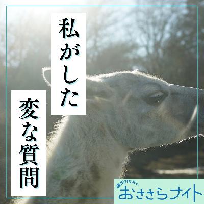 <OA>2026年2月28日放送 <OA>2026年2月28日放送