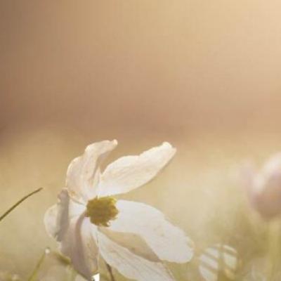 They are just kids and yet are playing a perfect role of a Teacher