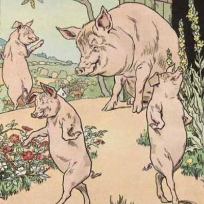 The three little pigs