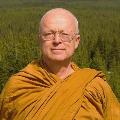 El Ojo del Dhamma - Thanissaro Bhikkhu | Budismo Theravāda El Ojo del Dhamma - Thanissaro Bhikkhu | Budismo Theravāda