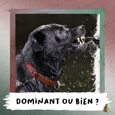 3. Dominant ou bien ?