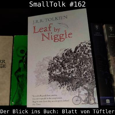 Der Blick ins Buch: Blatt von Tüftler